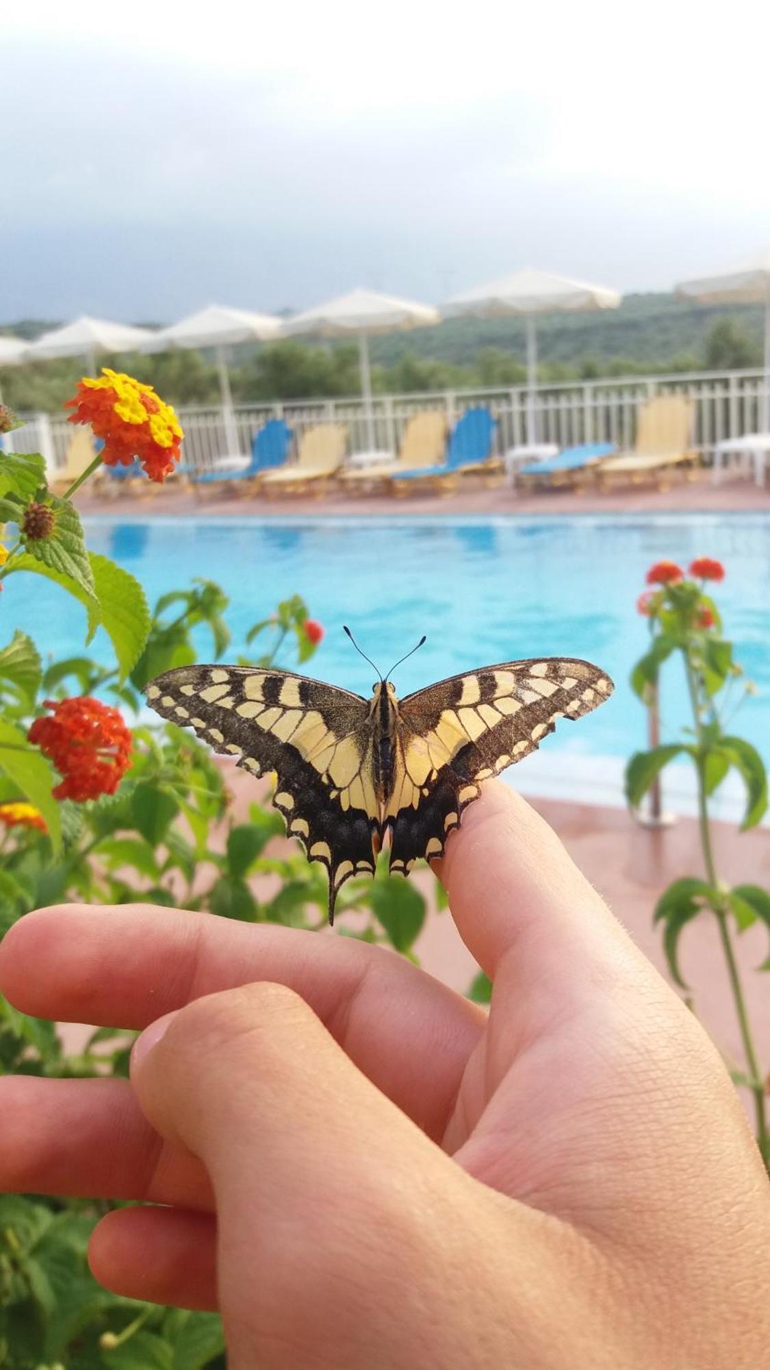 Episkopi-Chania Calamon Apartments المظهر الخارجي الصورة