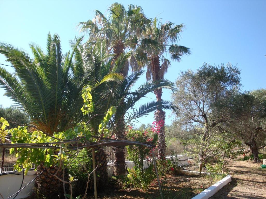 Episkopi-Chania Calamon Apartments المظهر الخارجي الصورة