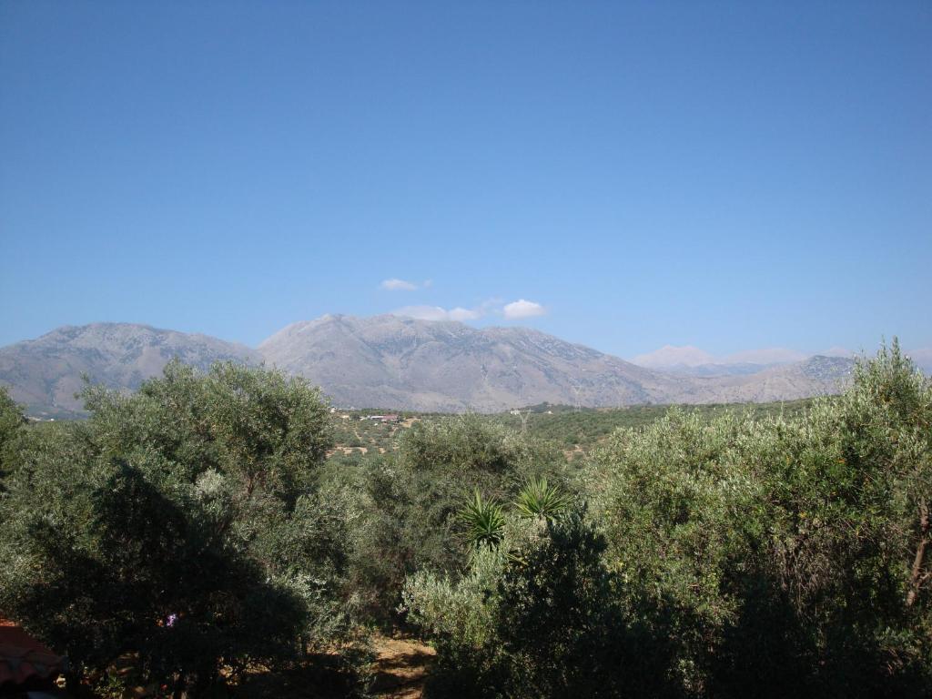 Episkopi-Chania Calamon Apartments المظهر الخارجي الصورة