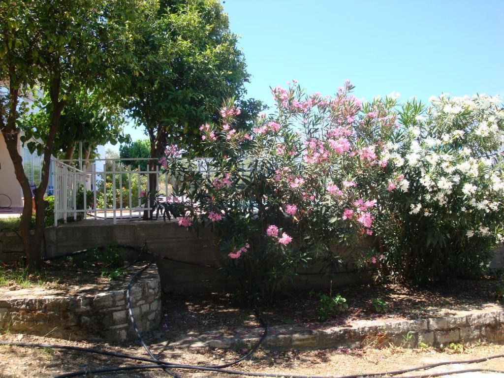 Episkopi-Chania Calamon Apartments المظهر الخارجي الصورة