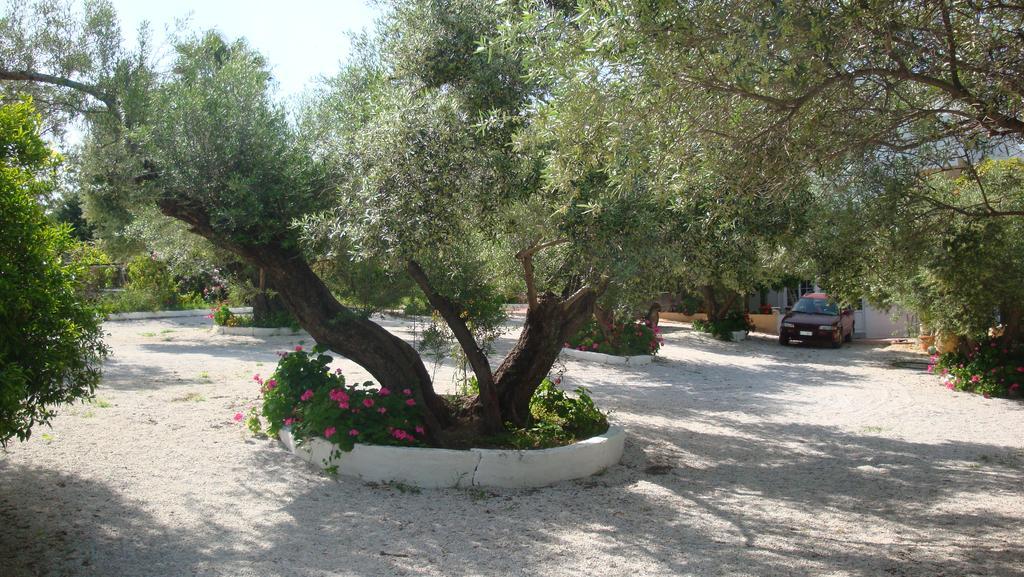 Episkopi-Chania Calamon Apartments المظهر الخارجي الصورة