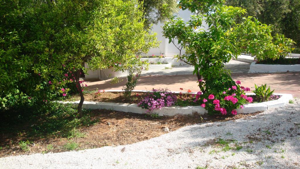 Episkopi-Chania Calamon Apartments المظهر الخارجي الصورة