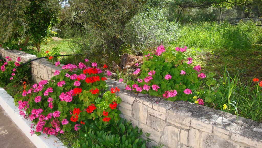 Episkopi-Chania Calamon Apartments المظهر الخارجي الصورة