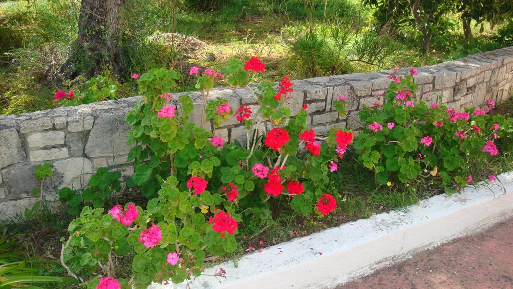 Episkopi-Chania Calamon Apartments المظهر الخارجي الصورة