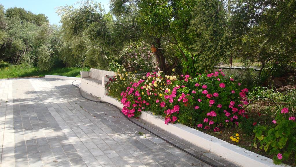 Episkopi-Chania Calamon Apartments المظهر الخارجي الصورة