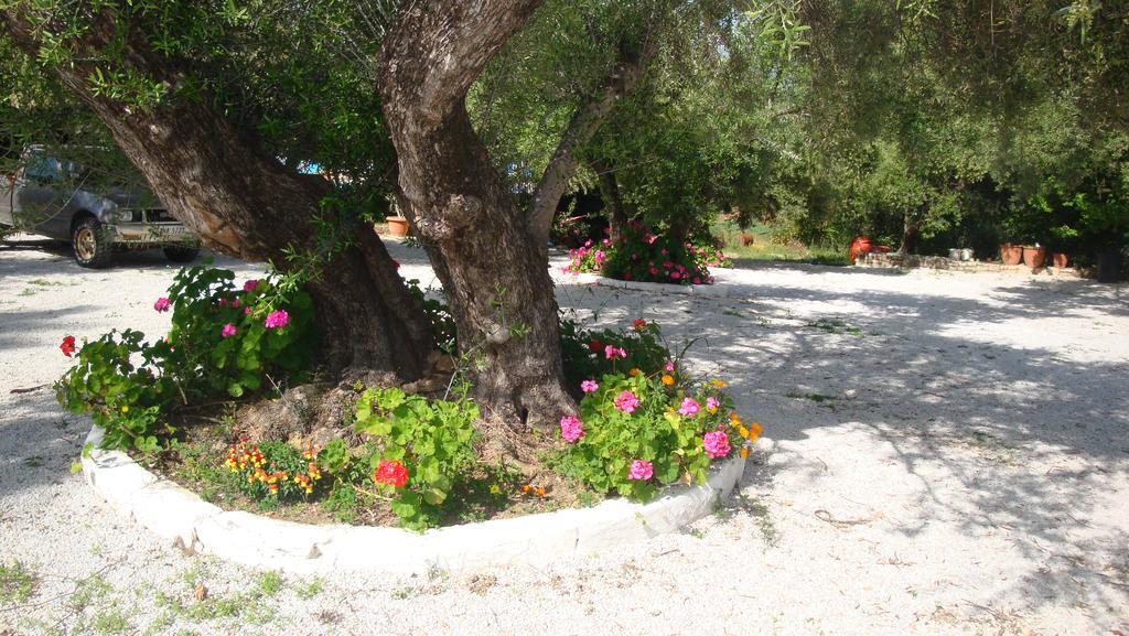 Episkopi-Chania Calamon Apartments المظهر الخارجي الصورة