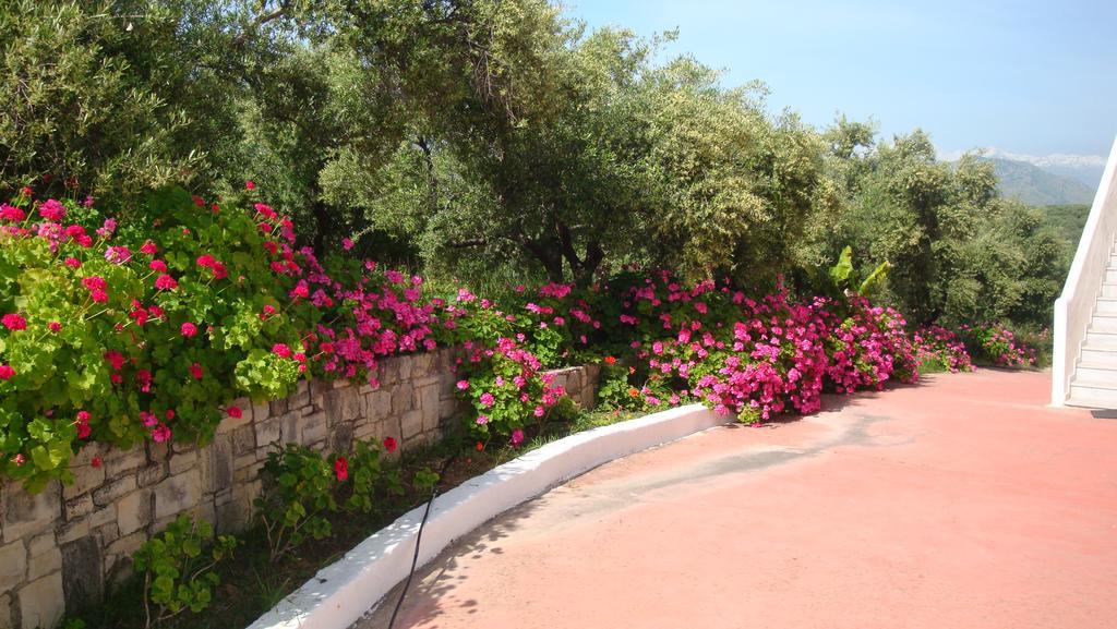 Episkopi-Chania Calamon Apartments المظهر الخارجي الصورة